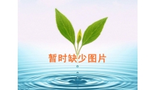熱烈祝賀我公司官方網站隆重上線！